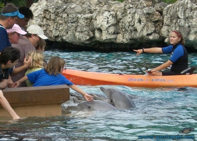 Delfinen kann man in SeaWorld richtig nahe kommen...