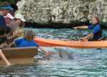 Touch a dolphin at SeaWorld Orlando!