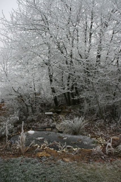 Seasons greetings to everyone! We do not often have a white Christmas over here. This year, 2007, it is a very interesting white Christmas: we do not have any snow. However, it is unusually humid currently and there is a lot of fog. Plus, temperatures are around 20 degrees Fahrenheit. This for three days in a row now. The result is the beautiful ice crystal cover you can see on the images.